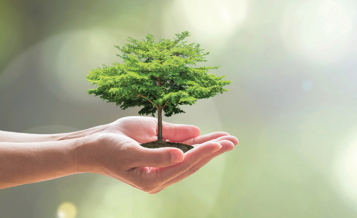 Katı Yakıtları Kullanmamak